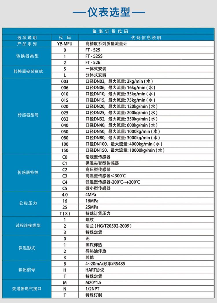 煤油質量流量計選項表